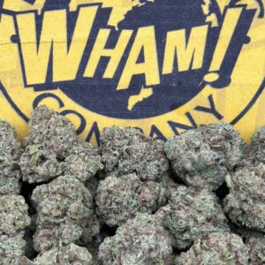 Gelato Cake Smalls (Hybrid)