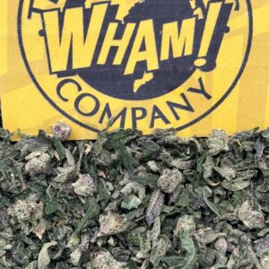 Lemon Cherry Gelato Shake Mix