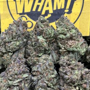 Mezu Gummies (Hybrid)