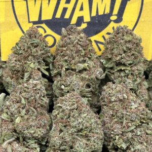 Passion Fruit (Indica Hybrid)