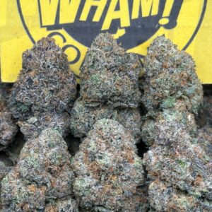 Jet Fuel Runtz (Indica)