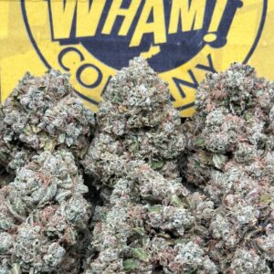 Jealousy (Sativa Hybrid)