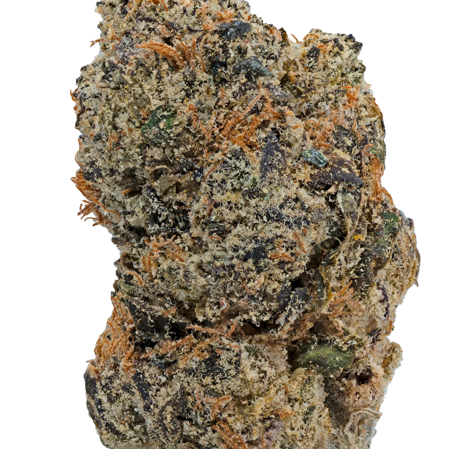 Cherry Zashimi - Image 3