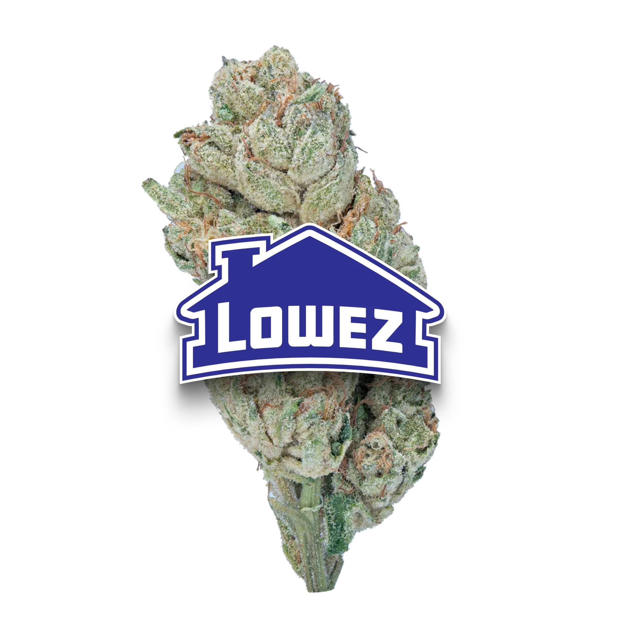 Wedding Crasher - Image 2