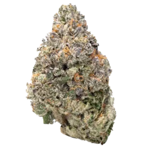 Bulk Discount Indoor Flower