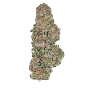 Bulk Greenhouse Flower