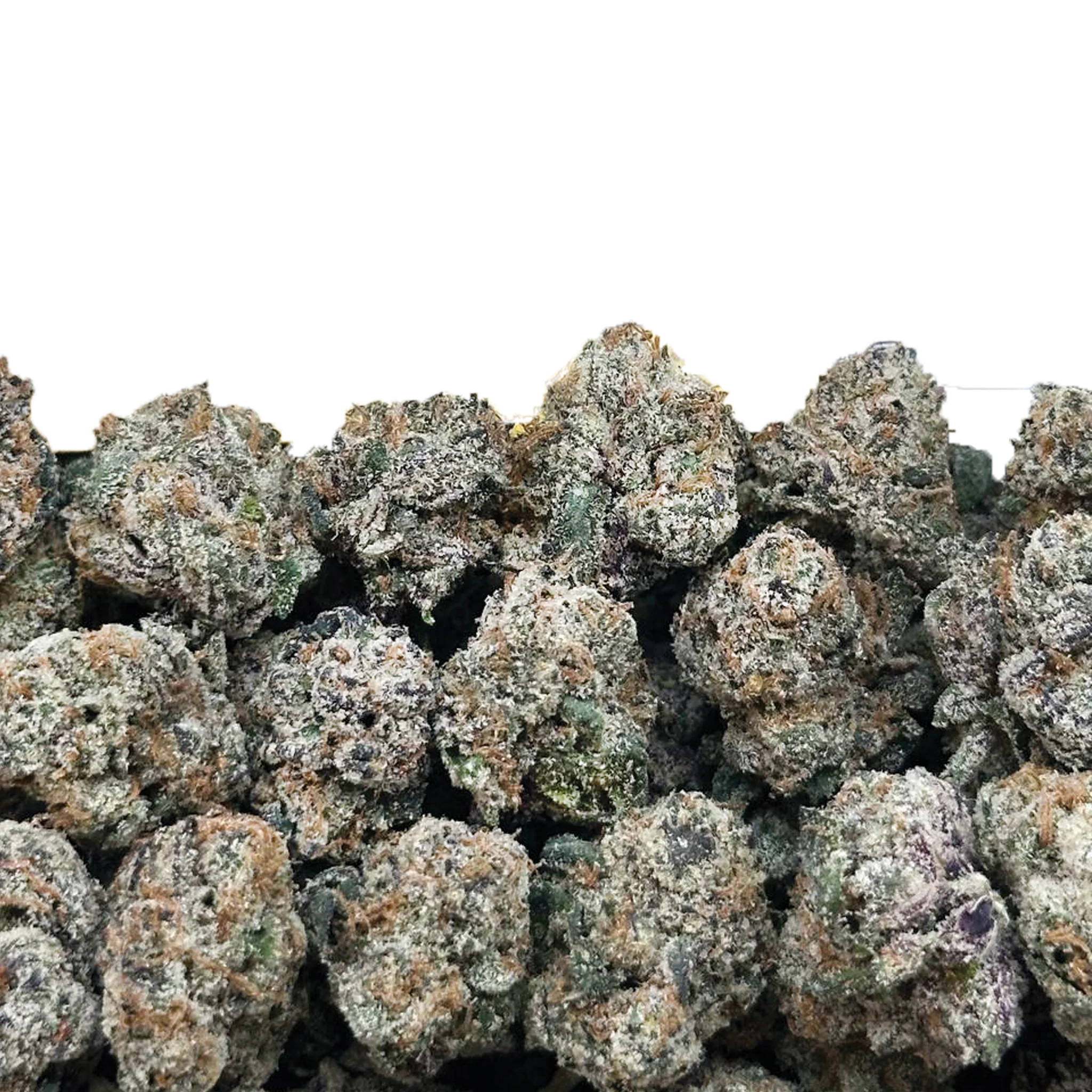 Bulk Super Exotic Smalls