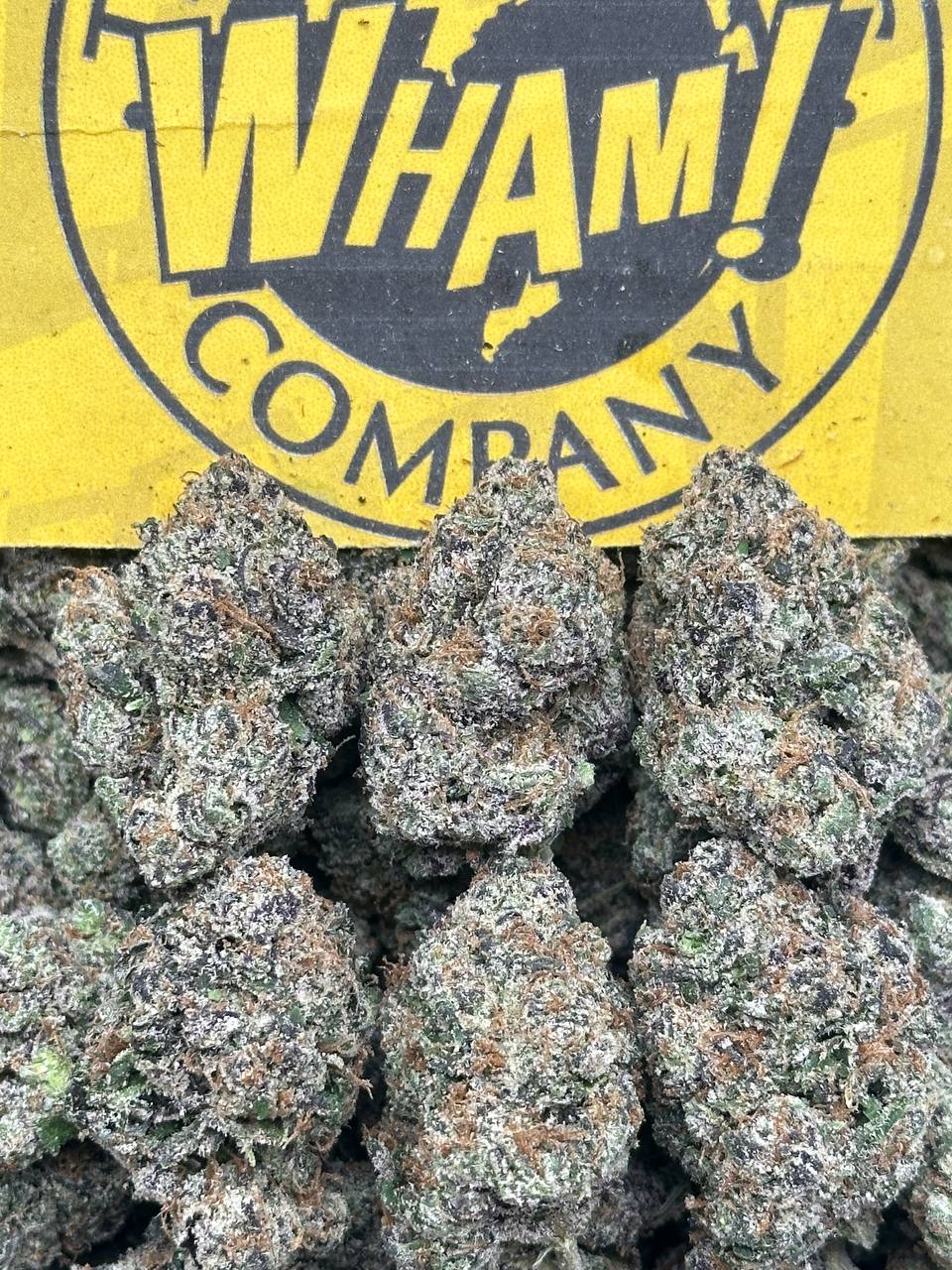 Candy Brew (Indica Hybrid)