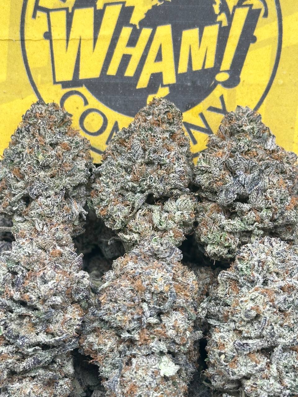 Truffle Runtz (Indica)